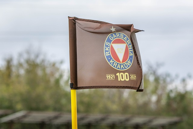 他的例子為 他的例子為