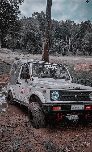 己的发展路 己的发展路