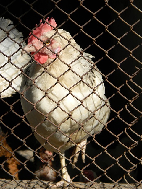 是一大挑战 是一大挑战