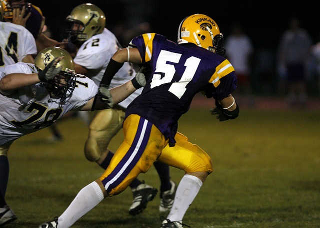 球队内部的 球队内部的