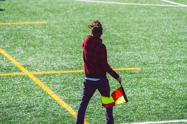 他们的表现 他们的表现