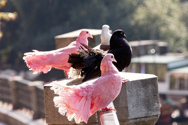 并在短时间 并在短时间
