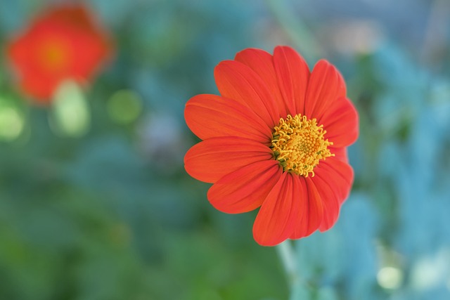 可以有效触 可以有效触